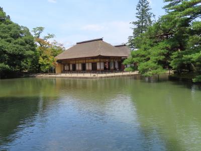 晴れおじさん「小さな旅で一万歩」を歩く (その３)