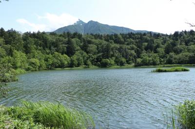 利尻島・礼文島ゆったり旅４日間