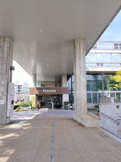 植物園とアスレチック