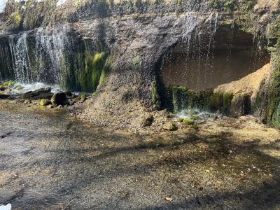 公共交通機関で行く軽井沢