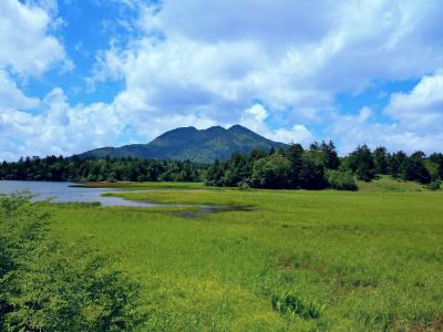 沼山峠から尾瀬沼へ　友人と日帰り旅