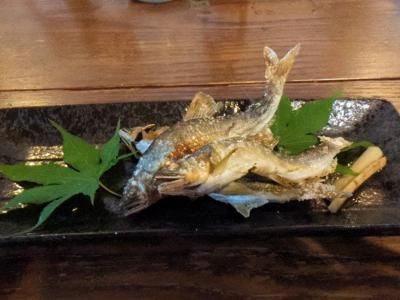 アイラブ仏像めぐり　南小松八幡神社の狛犬と保福寺釈迦如来坐像（高島市）