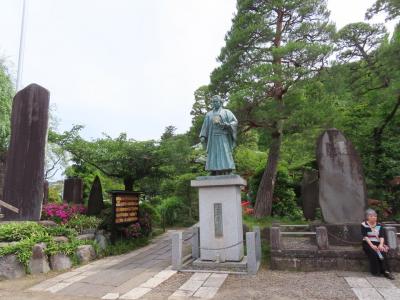 高幡不動尊の紫陽花 日野 2024/05/30