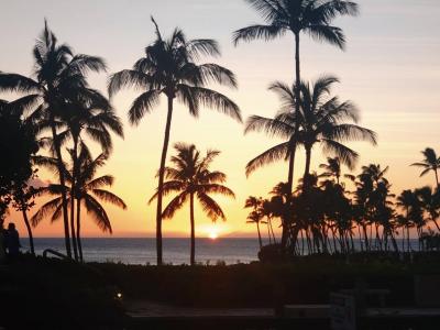 2023.8 ハワイ島旅行記 4日目