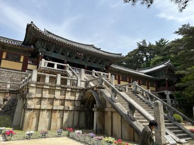 慶州観光、釜山グルメ