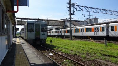 列車に乗るだけの旅行--八高線-