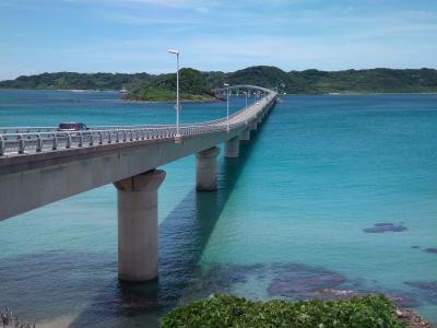 ハマユウ咲く、真夏の角島ドライブ