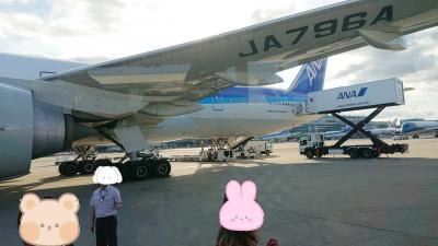 4日前の夜中に急遽ANA羽田、ヒースローの往復がマイレージで予約出来ました9(ロンドン最終日&帰国)