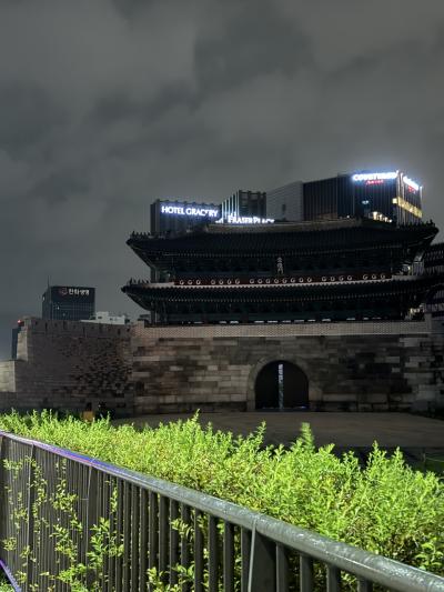 【弾丸ひとり旅】ANA特典航空券で韓国1泊2日①ソウル到着編