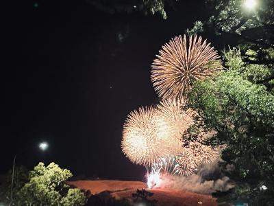 冬の花火と日本酒を楽しんだ旅（京都・奈良）