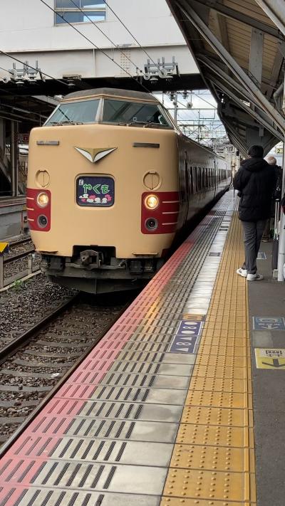 ついに国鉄型特急乗り納め　～　381系やくも乗車の旅　(1)サンライズ&やくも