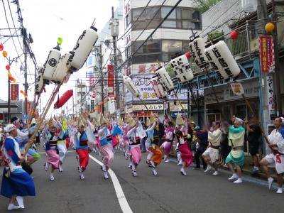 ぞめきのリズムに誘われて「第48回神奈川大和阿波踊り」（総踊り＆東林間連、他）2024