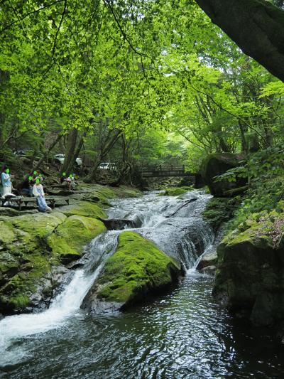 小太郎が渕に涼を求めて、人が沢山　半日犬連れ旅！　