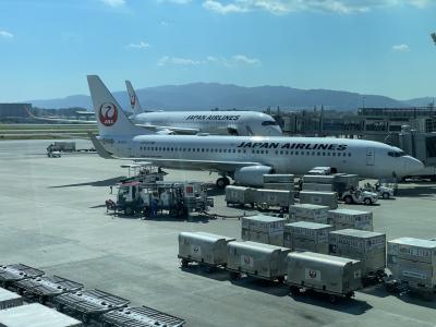 避暑を求めて北海道① 雨でも快適札幌