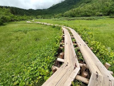 2024/07 青春18切符による信州旅行　２日目 (松本駅～白馬駅間のJR沿線・栂池自然園)