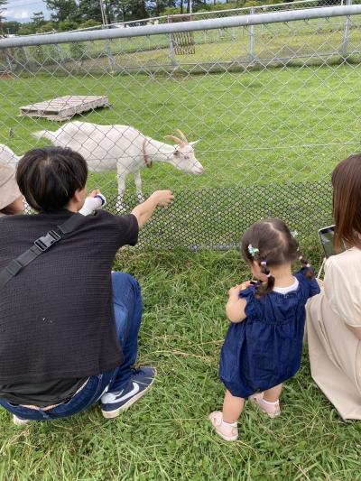 蓼科、八ヶ岳をのんびり
