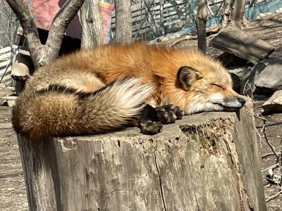 青春18切符で山形旅行③