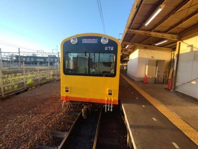 24夏18きっぷ【1/5】go west♪特に初ナローゲージ1/2「三岐鉄道」