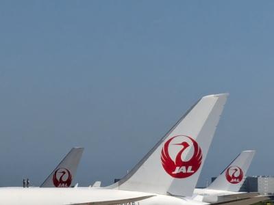 今日羽田から北海道へ帰ります。帰る前に何処観光しましょうか？
