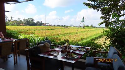 バリ夏旅②ウブドステイで緑豊かな圧巻の田園ビューと賑やか街