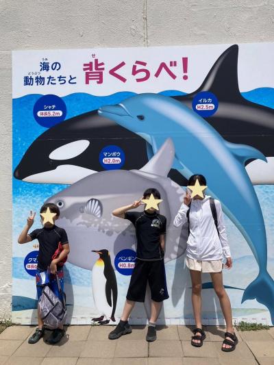 千葉県　安房鴨川　鴨川シーワールド　鴨川市納涼花火大会　　2024/07/29(月)から30日