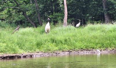 北海道東部の国立公園　④釧路湿原：カヌー体験とノロッコ号