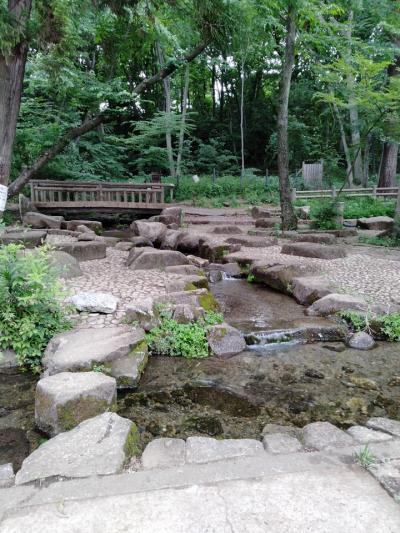 八王子滞在記(紫陽花/黒川清流公園/路傍の花/世田谷の花/八王子路傍の花) 2024/06/06-06/13