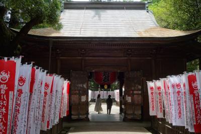 愛知訪問2023③(神社だと思っていたら、曹洞宗の寺院だった：豊川市・豊川稲荷、豊川いなり表参道)