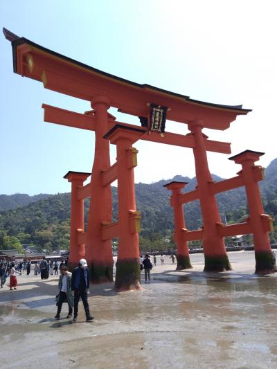 恒例の野球観戦2023in広島　メインは宮島さん