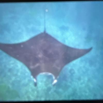 子供と旅するバリ島　4泊7日②