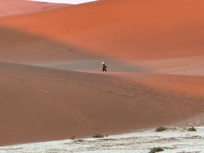 思い立ったが南部アフリカ その4