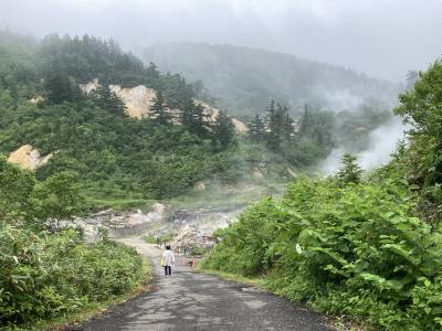 雨の東北・温泉とブナの旅~白神山地十二湖~八幡平~角館
