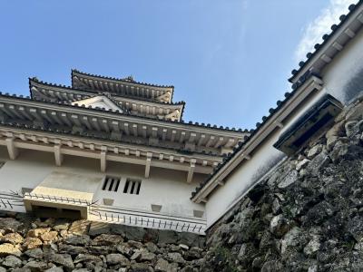 2024夏休みの旅・高知（5）現存する忍び返し
