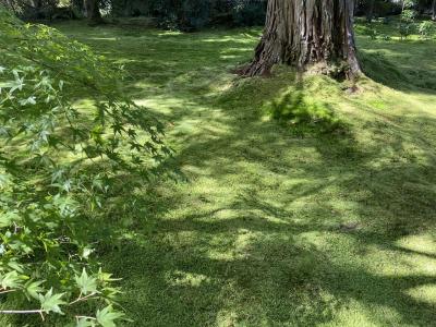 ひとり旅～京都～②大原三千院