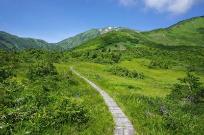 夏の朝日岳～雪倉岳