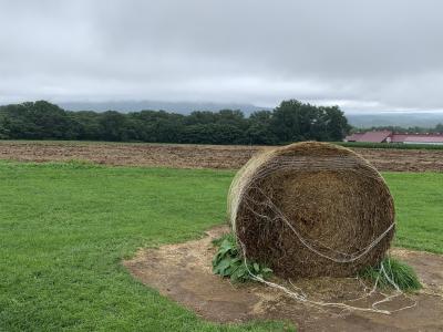 2024真夏の北海道旅~ニセコ・比羅夫編~