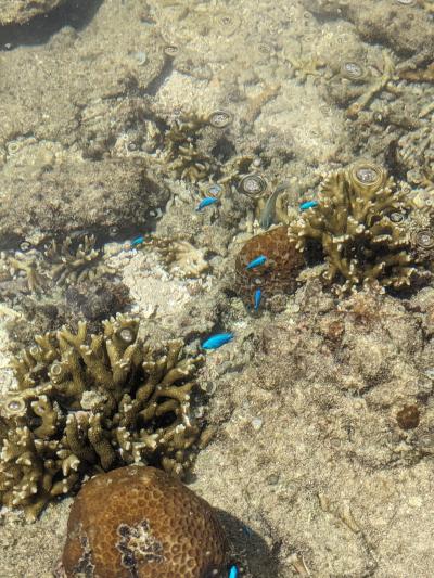 〈3日目ー①〉子供と行く☆沖縄本島4泊5日