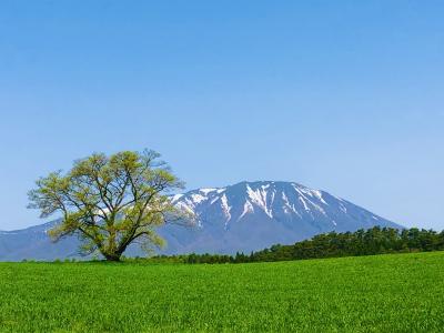 GW　母子二人旅　岩手＆ちょこっと秋田　３－１
