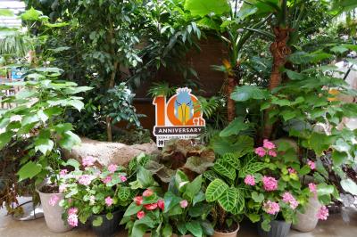 宮崎カーフェリーで行く！パワースポット高千穂峡&神戸週末弾丸旅行_1