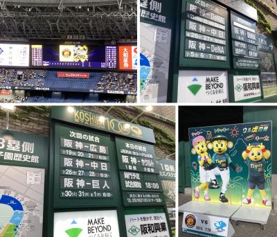 プロ野球2024シーズン　Ver.3（6月　阪神vsオリックス、DeNA、7月　ヤクルト、中日　編）