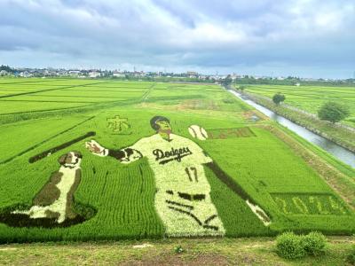 女ひとり2泊3日で大谷くん田んぼアート★念願のFDA×18きっぷ