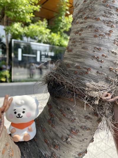 2024年6月 初FESTA その2 市内観光&推活編