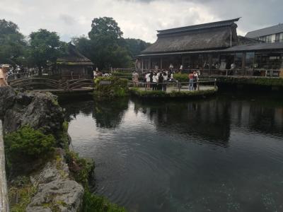甲斐路日帰りの旅