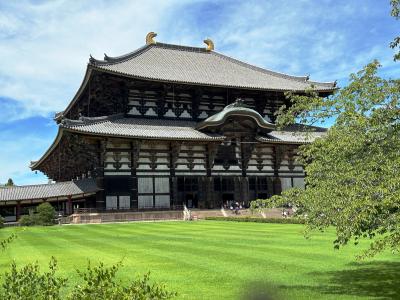 2024.07　ただただマニアックな旅第2弾！推しの「藤堂高虎」城巡り①…まずは「ついで」のノープラン奈良観光