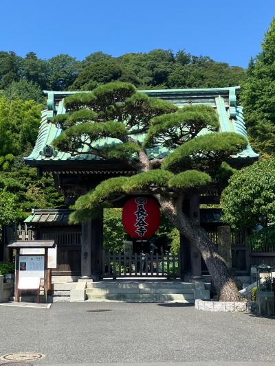 2024年7月舞浜でホテルステイ＆横浜にちょっと寄り道、横浜編