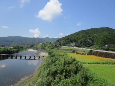 夏休みの自由研究2024　みんなの説