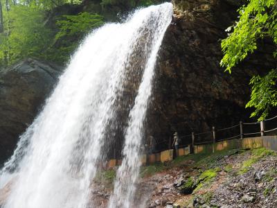 夏、長野県の北信エリア（＋栂池）へ　①栂池自然園と雷滝