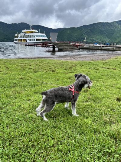 犬旅～箱根強羅～