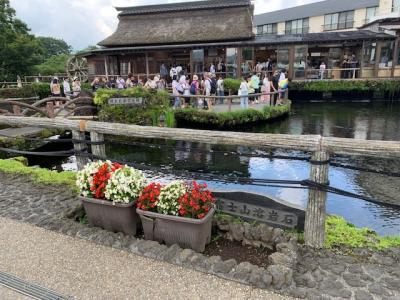 忍野八海の湧水が綺麗でした。