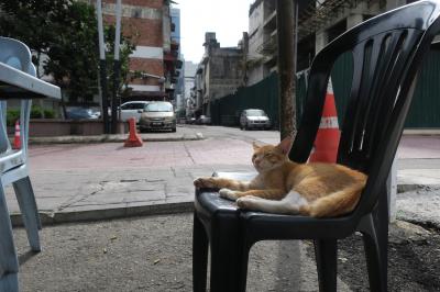 ゆーぢよ旅日記 GWマレーシア9日間～8・9日目～